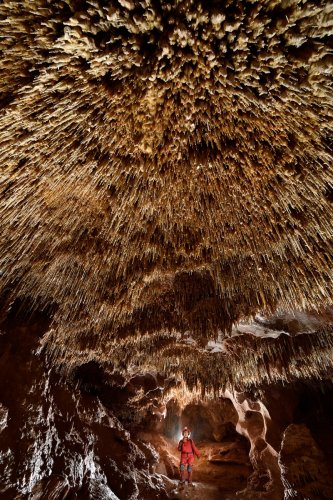 Grotte du Sud de l'Arizona (USA) - galerie avec le plafond couvert de fistuleuses(SP-20-0182)