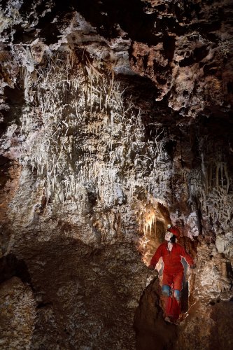 Grotte du Sud de l'Arizona (USA) - Spéléo regardant une paroi couverte d'excentriques (SP-20-0191)