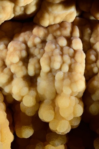 Grotte du Sud de l'Arizona (USA) - Détail de cristallisations au fond d'un grand gour(SP-20-0209)