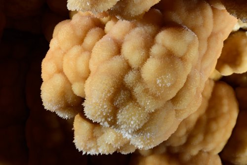 Grotte du Sud de l'Arizona (USA) - Détail de cristallisations au fond d'un grand gour(SP-20-0211)