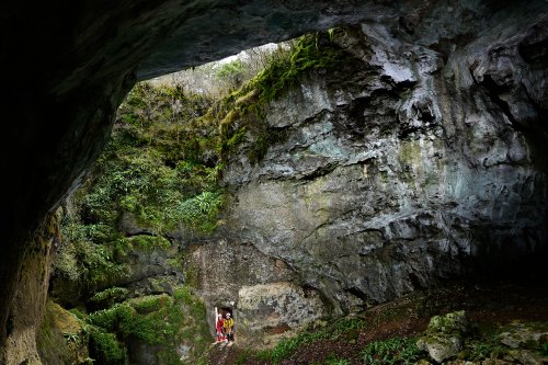 Aven du Mas de Rouquet (Hérault) - Entrée de l'ancienne cave à fromage à la base du puits(SP-21-0138)