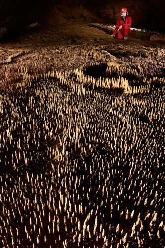 Grotte de Trabuc (Gard) - Les 100 000 soldats (avec petite muraille)(SP-21-0493)