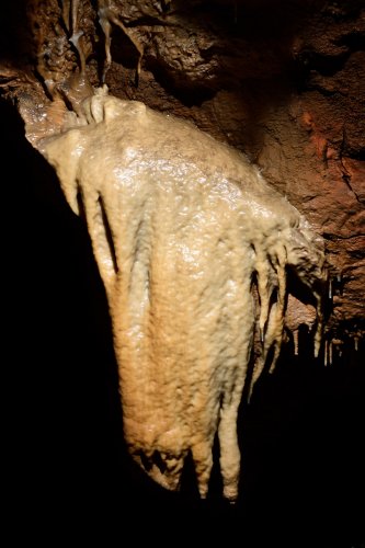 Grotte de Trabuc (Gard) - La "tête de cheval"(partie aménagée)(SP-21-0598)