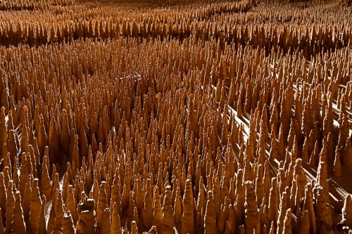 Grotte de Trabuc (Gard) - Les 100 000 soldats : muraille en arrière plan(SP-21-0690)