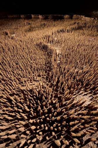 Grotte de Trabuc (Gard) - Les 100 000 soldats : muraille avec vue grand angle des premiers soldats de dessus(SP-21-0698)