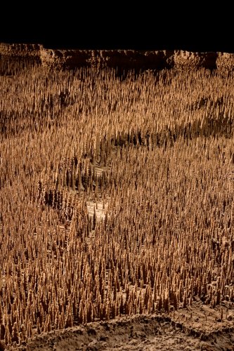 Grotte de Trabuc (Gard) - Les 100 000 soldats : muraille de soldats(SP-21-0702)