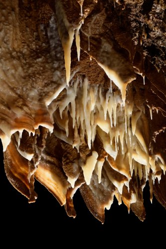 Grotte de Trabuc (Gard) - Ensemble de stalactites et de draperies dans le couloir des merveilles (partie aménagée)(SP-21-0733)
