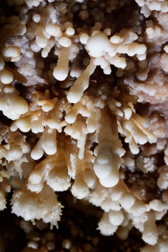 Grotte de Trabuc (Gard) - Petites concrétions cristallisées dans la salle du Lac de minuit(SP-21-0759)