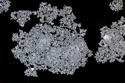 Grotte de Trabuc (Gard) - Détail de calcite flottante dans le gour de "la Cascade" (partie aménagée)(SP-21-0778)