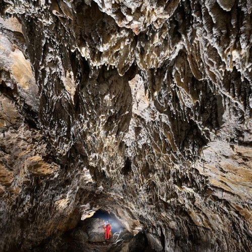 Baume aux Sarrons (Doubs) - Galerie avec concrétions au plafond (SP-21-1185)