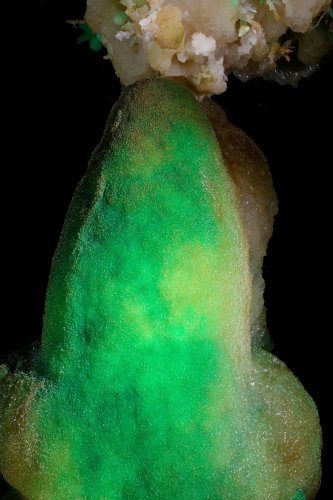 Grand Aven du Mont Marcou (Hérault) - Cette concrétion dénommée "l'éléphant" est tapissée de cristaux verts lui donnant un aspect de velours(SP-21-1436)