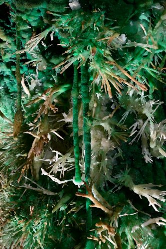 Grand Aven du Mont Marcou (Hérault) - Stalactites d'aragonite vertes au milieu de cristallisations(SP-21-1440)