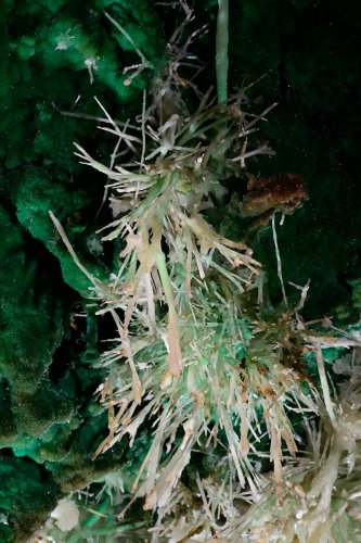 Grand Aven du Mont Marcou (Hérault) - Aragonite "verte" avec en fond une paroi tapissée de cristaux verts(SP-21-1441)