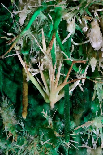 Grand Aven du Mont Marcou (Hérault) - Détail d'une excentrique d'aragonite blanche au milieu de cristallisations vertes(SP-21-1444)