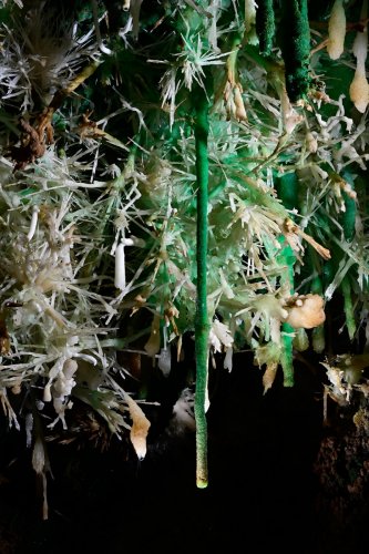 Grand Aven du Mont Marcou (Hérault) - Stalactite d'aragonite verte au milieu de cristallisations(SP-21-1451)