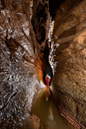 Grotte du Banquier (Hérault) - Galerie immédiatement après le siphon S1(SP-21-1615)
