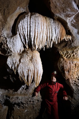 Grotte de l'Orquette (Hérault) - "Méduses"(SP-21-1646)