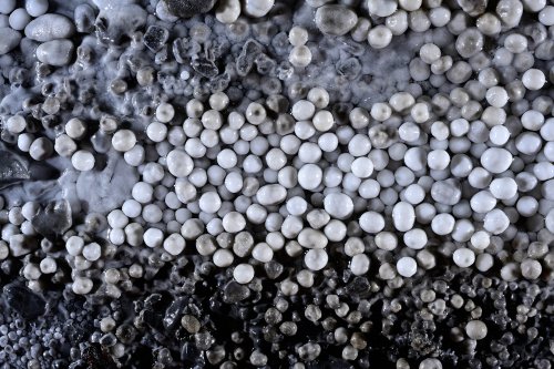 Grotte aux perles - Alignement de perles blanches, grises et noires  (SP-21-1748)