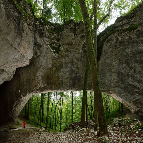 Grotte des Bisontins (Doubs) : arche principale (SP-21-1814)