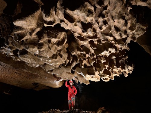 Boar Hole (Virginie occidentale, USA) - Lapiaz de voûte dans une salle (ces figures karstiques sont appelées "anastomoses" en anglais)(SP-21-2296)
