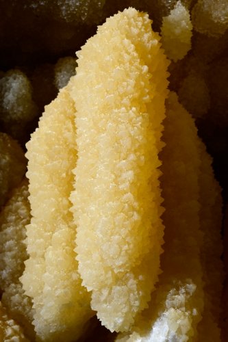 Grotte de Vallorbe (Suisse) - Détail d'une baguette de gours cristallisée (partie aménagée)(SP-22-0370)