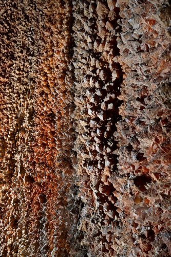 Aven de Suèges (Aveyron) - Paroi d'une salle couverte de cristaux de calcite (SP-22-0398)