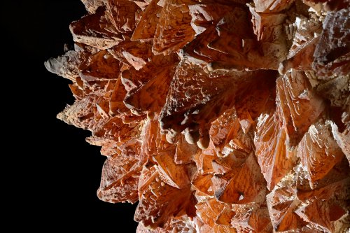 Aven de Suèges (Aveyron) - Cristaux de calcite orange sur une paroi(SP-22-0424)