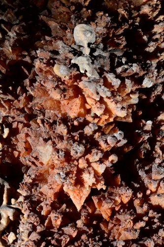 Aven de Suèges (Aveyron) - Concrétionnement tapissant la paroi d'une salle (SP-22-0429)