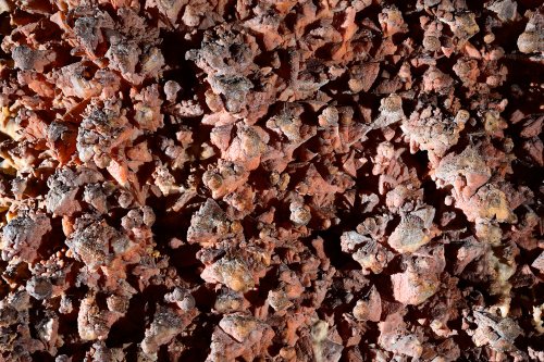 Aven de Suèges (Aveyron) - Concrétionnement rouge tapissant la paroi d'une salle (SP-22-0430)