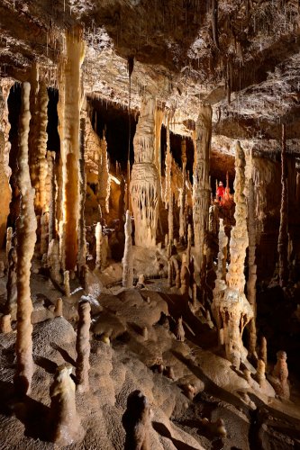 Grotte Flandin (Ardèche) - Grande salle avec forêt de stalagmites et piliers(SP-22-1084)