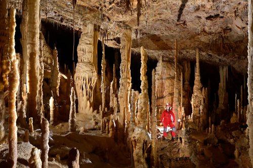 Quelques photos dans cette jolie petite cavité (protégée) du sud de l'Ardèche.