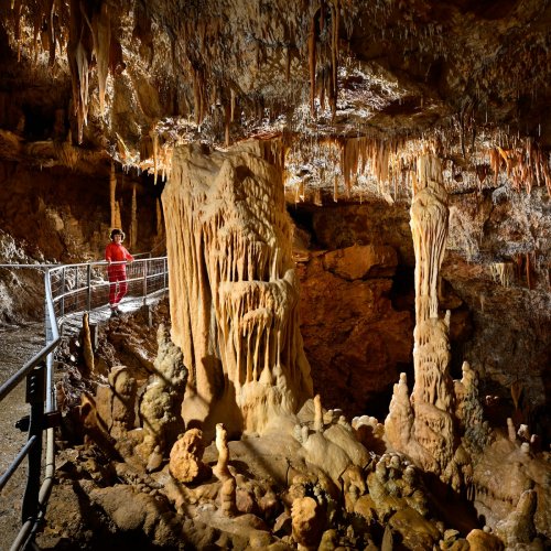 Grotte de Foissac (partie touristique) - Grandes colonnes  le long du cheminement aménagé(SP-22-1152)