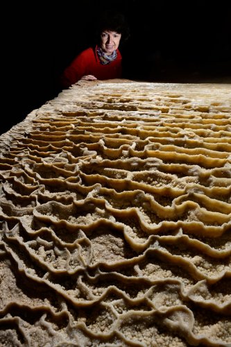 Grotte de Foissac (partie touristique) - Micro gours (SP-22-1173)