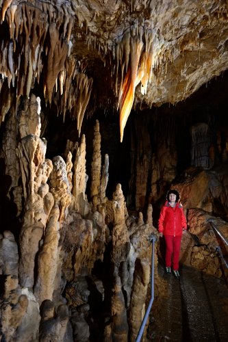 Grotte de Foissac (partie touristique) - Passage au milieu d'un ensemble de stalagmites avec draperie translucide au plafond(SP-22-1180)