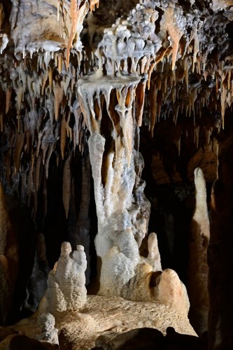 Grotte de Foissac (partie touristique) - Petite colonne  (SP-22-1185)