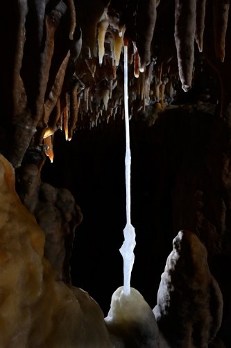 Grotte de Foissac (partie touristique) - Fistuleuse ayant rejoint une stalagmite(SP-22-1191)