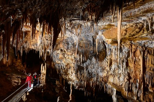 Grotte de Foissac (partie touristique) - Grande salle concrétionnée(SP-22-1199)