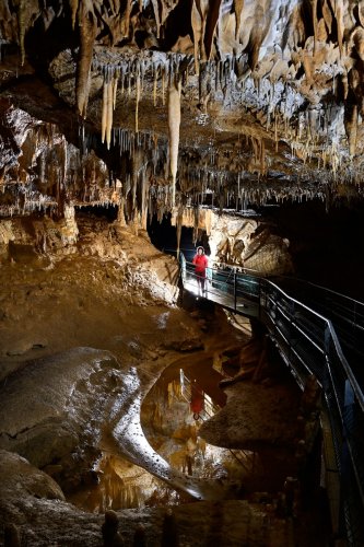 Grotte de Foissac (partie touristique) - Passerelle dans un passage concrétionné avec reflets dans l'eau(SP-22-1205)