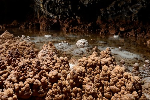 Grotte de Foissac (réseau FFS) - Sapins de calcite au bord d'un gour(SP-22-1212)
