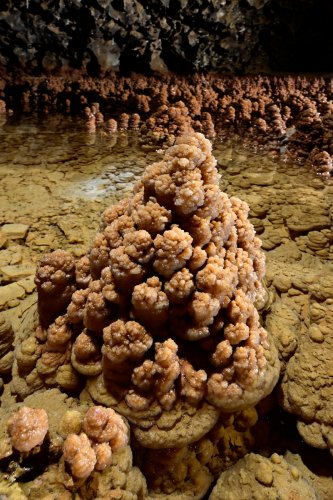 Grotte de Foissac (réseau FFS) - Sapin de calcite dans un gour(SP-22-1214)