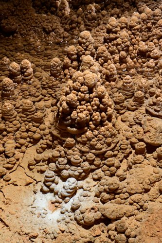 Grotte de Foissac (réseau FFS) - Cristallisations de calcite dans un gour(SP-22-1218)