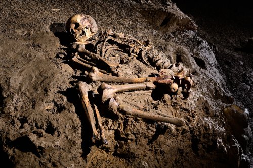 Grotte de Foissac (partie touristique) - Squelette de la période chalcolithique déposé bras et jambes repliés sur un talus d'argile(SP-22-1239)