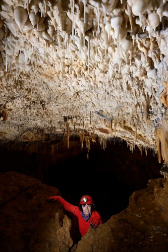 Grotte de Foissac (partie touristique) - Montée à une galerie supérieure (hors visite) au plafond couvert de bulles de calcite (SP-22-1257)