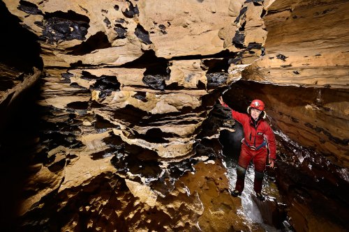 Grotte de la Borne aux Cassots (Doubs) - Paroi avec grandes chailles apparentes (SP-22-1360)