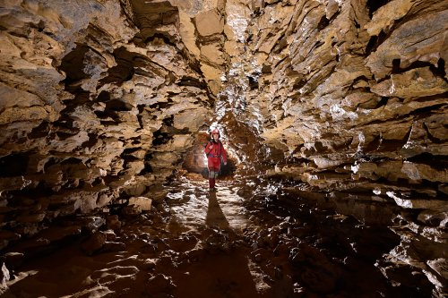 Grotte de la Borne aux Cassots (Doubs) - Petite galerie avec bancs de calcaires proéminents  (SP-22-1378)
