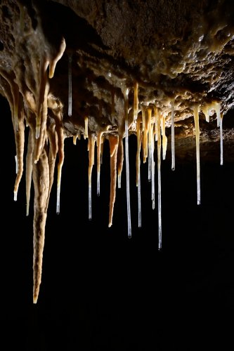 Grotte du Coudrier (Doubs) - Ensemble de stalactites et fistuleuses(SP-22-1394)