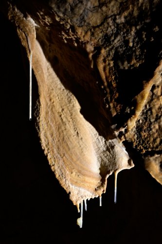 Grotte du Coudrier (Doubs) - Draperie massive(SP-22-1395)