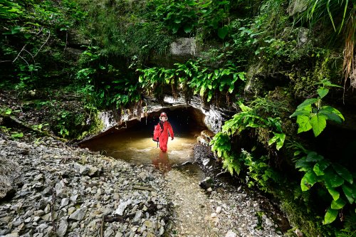 Grotte du moulin de Vermondans (Doubs) - Spéléo dans l'entrée avec végétation(SP-22-1413)