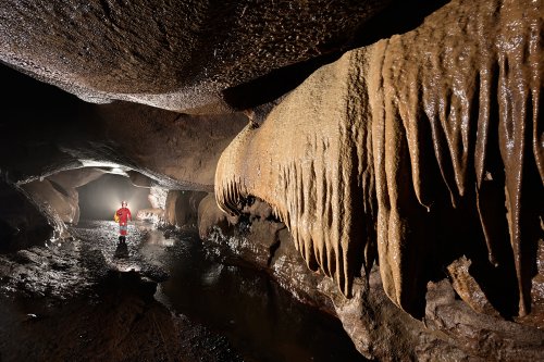 Baume de Gonvillars (Haute Saône) - Galerie avec alignement de stalactites massives sur une paroi (spéléo en fond)(SP-22-1464)