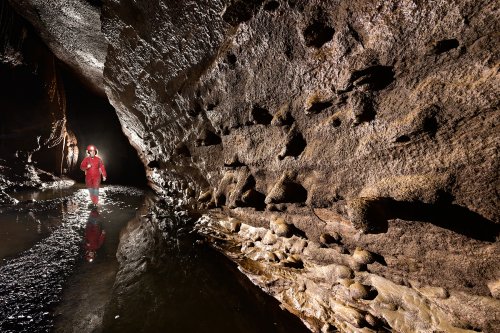 Baume de Gonvillars (Haute Saône) - Spéléo progressant dans galerie avec des chailles en relief sur la paroi(SP-22-1472)